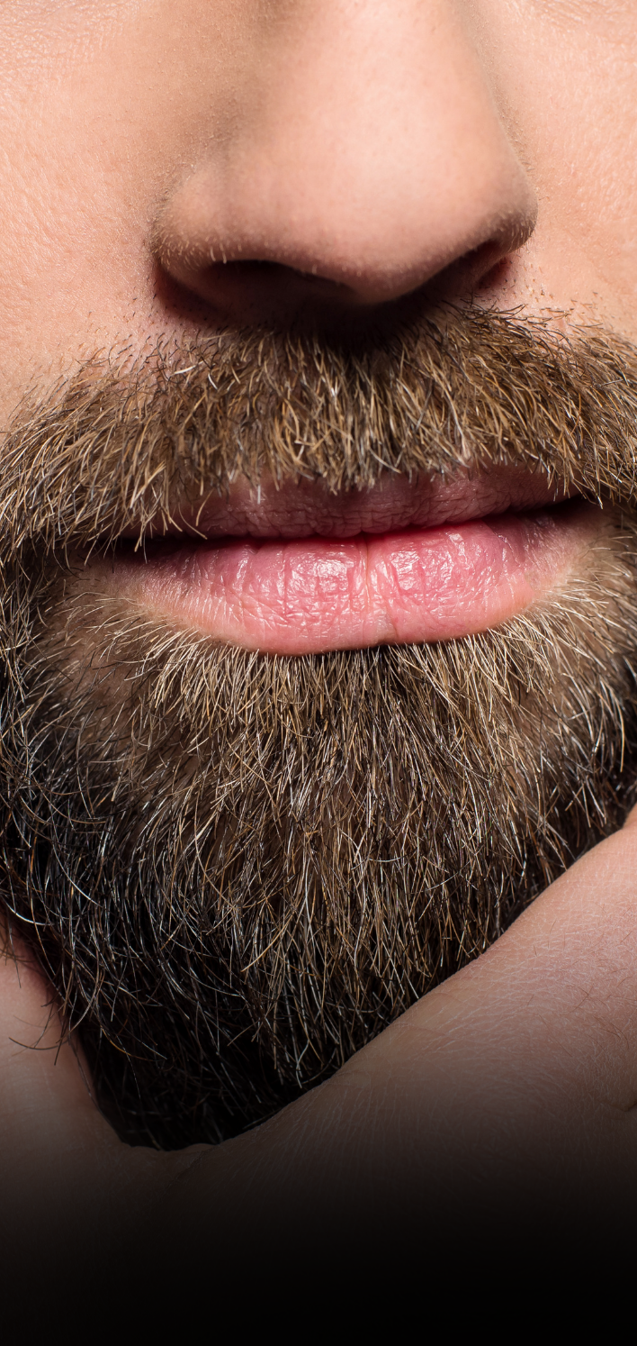 Barba
