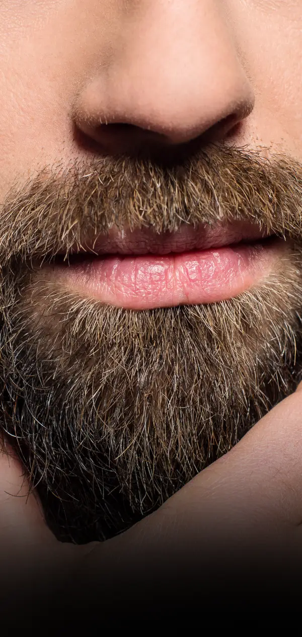 Barba